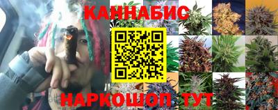 ГАЛЛЮЦИНОГЕННЫЕ ГРИБЫ Свободный