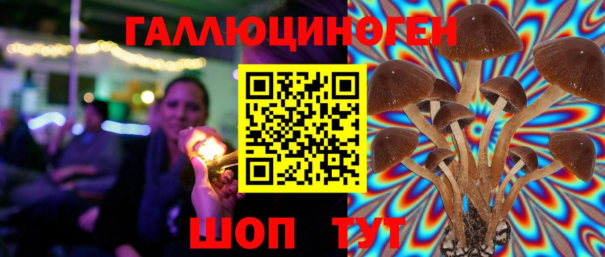 Галлюциногенные грибы GOLDEN TEACHER  Вход с VPN  Галлюциногенные грибы мицелий  Пугачёв 
