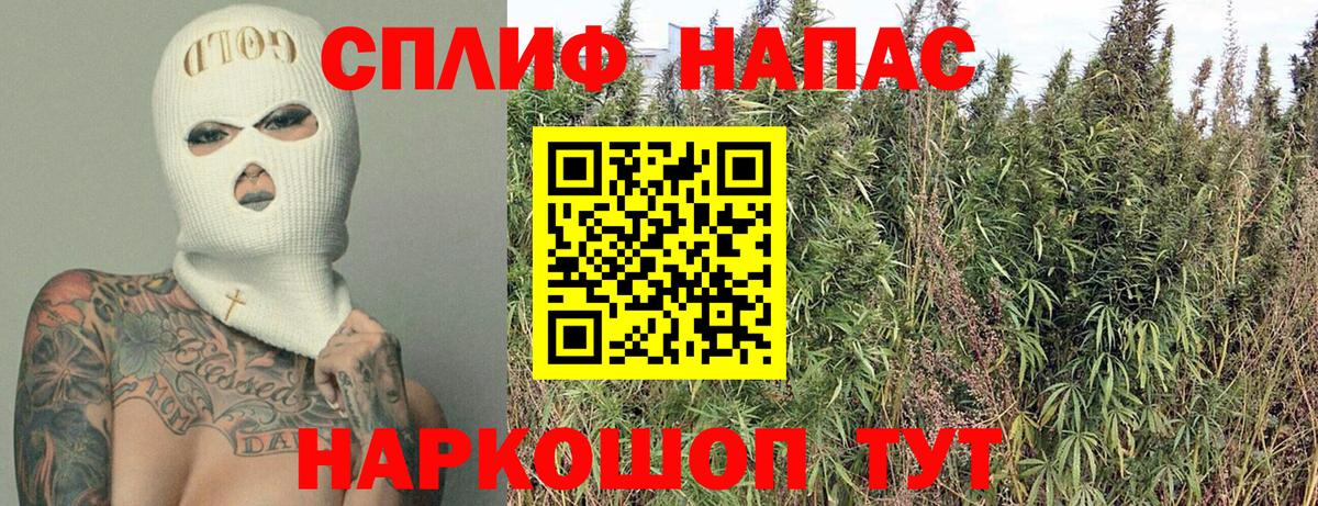 Шишки марихуана White Widow  Вход с VPN  Канабис конопля  Каннабис план  Пугачёв  Каннабис LSD WEED 